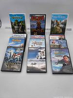 Group shot of all DVD cases in lot