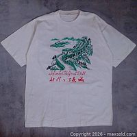 Full front view of T-shirt displaying graphic and overall condition