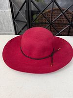 Hat full view showing wide brim and crown