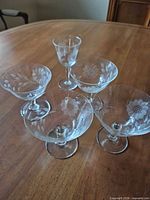 Group shot of four coupe sherbets with one wine glass showing Corn Flower etching