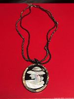 Full view of necklace showing pendant and strand length