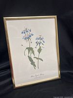 Full view of framed botanical print in brass-tone frame