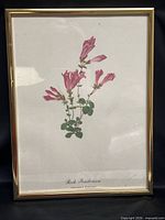 Full view of framed print showing artwork and frame