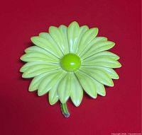 Front view of daisy brooch