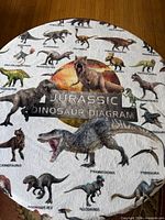 Full view of roundly draped blanket showing dinosaur graphics and text