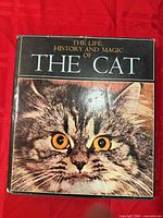 Front cover showing title and cat image