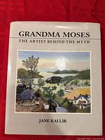 Front dust jacket showing title, artwork, author