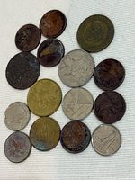 All fourteen coins spread out, showing obverse sides and range of metal tones