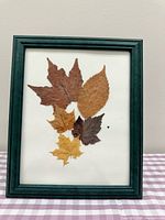Front view of framed pressed leaf collage