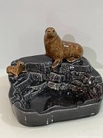 Front view showing adult and pup sea lions on rocky ashtray base
