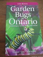 Front cover showing title and caterpillar image