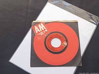 front view of 7" single in sleeve and protective bag