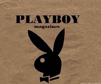 Playboy logo graphic on brown background