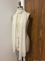 Scarf draped on dress form, showing overall length and color