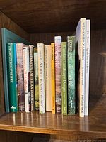 Shelf showing full lineup of assorted hardcover books