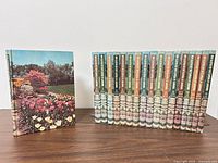 Front view of all 18 volumes plus one volume cover art