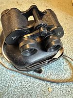 Top view of Nikon binoculars resting on carrying case showing overall design and strap attachment