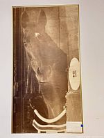 Full front view of framed sepia photograph of Citation horse