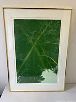 Full view of framed green serigraph