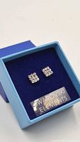 Earrings in presentation box