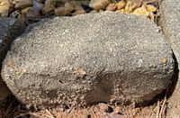 Close-up of one concrete edging stone showing texture and shape