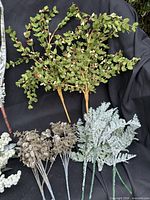 Group of green leafy branches and frosted fern sprays displayed on black background