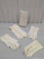 Group shot showing clutch and four pairs gloves