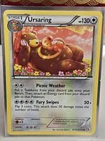 Front of Ursaring RC16/RC25 holo card in sleeve showing artwork, stats, moves