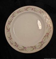 Single plate front showing floral lattice pattern and gold rim
