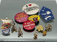 Group view of all pins, brooch and buttons on mirrored surface