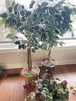 Full view of artificial ficus-style tree and pot