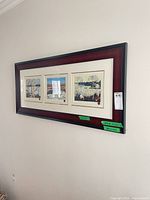 Entire framed artwork on wall showing three prints in one frame