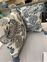 Pair of paisley throw pillows standing upright showing pattern and tassels