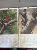 Front pages showing February 1986 cardinal artwork and January 1985 woodpecker artwork