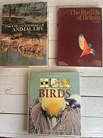 Front covers of three hardcover reference books