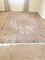 Full view of rug on carpeted floor