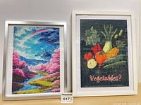 Both framed Diamond Dotz pictures side by side, showing designs and frames