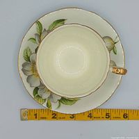Top view showing full flower pattern on saucer and interior size reference