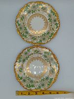 Front view of both plates with ruler showing diameter