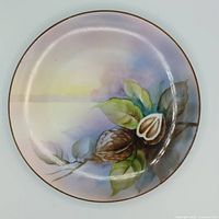 front view of Noritake plate with walnut artwork
