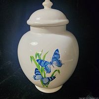 Front of ginger jar with butterfly motif