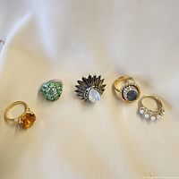 All five rings arranged on cloth backdrop