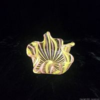 Oblique view showing ruffled rim and swirl pattern