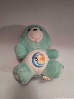 Front view of Wish Bear showing belly badge and overall condition