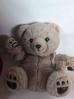 Full view of teddy bear seated upright