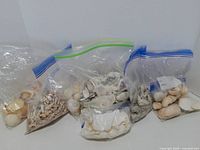 Four bags of assorted shells and stones