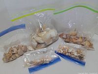 All six bags of seashells displayed
