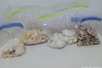 Four zip bags of assorted seashells