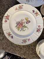 Single dinner plate showing pattern detail