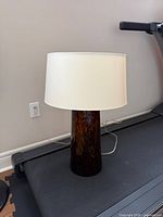 Full lamp showing glass base, shade, cord